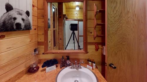 baño con lavabo con una foto de un oso en la pared en Standing Bear Lodge With High Speed Wifi, en Red River