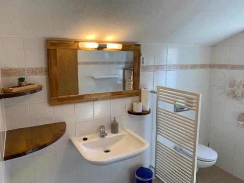 a bathroom with a sink and a toilet at Haus Bergfriede in Bad Schandau