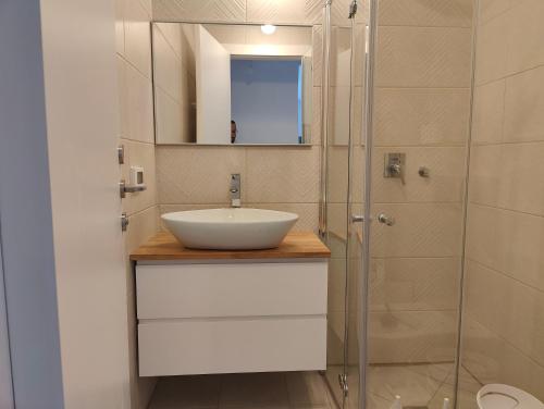 ein Bad mit einem Waschbecken und einer Glasdusche in der Unterkunft Savyon View Tower - 2BR apartment in Jerusalem