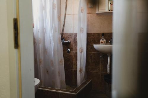 a bathroom with a shower and a sink at Apartments Djukic in Tivat