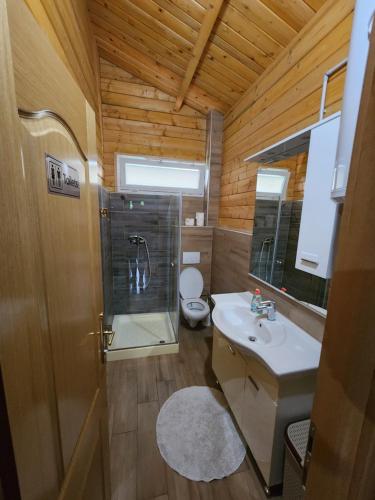 Un baño pequeño con lavabo e inodoro. en River Homes Bihac, en Bihać