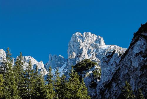 a mountain with trees in front of a blue sky at Villa Edelweiss - 3 to 6 Guests - private use of indoor pool, sauna and garden terrace in Abtenau