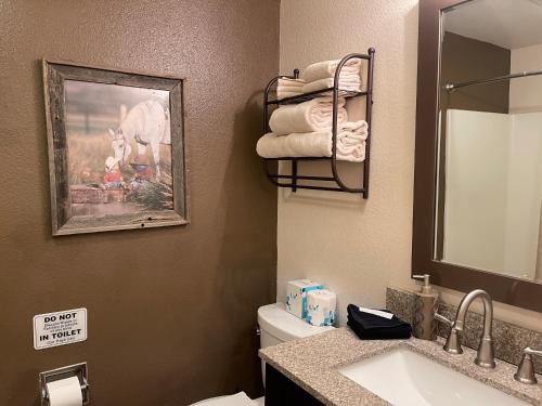 La salle de bains est pourvue d'un lavabo, de toilettes et d'un miroir. dans l'établissement Lifts West 208 With Wifi, à Red River