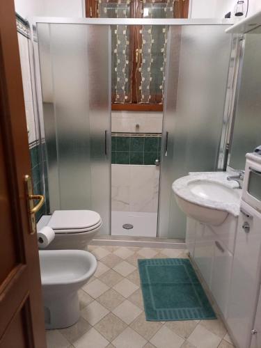 a bathroom with a shower and a toilet and a sink at Casa del Cedro - Cedar House in Lecco