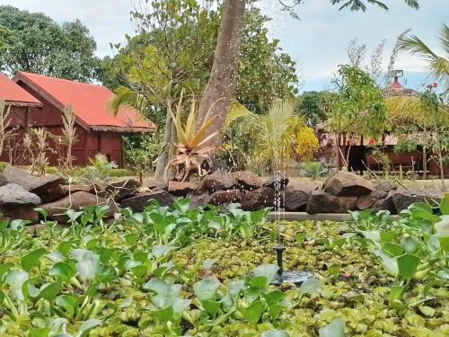 a garden with green plants and a fountain at Villa Meva in Antanamitarana Atsimo