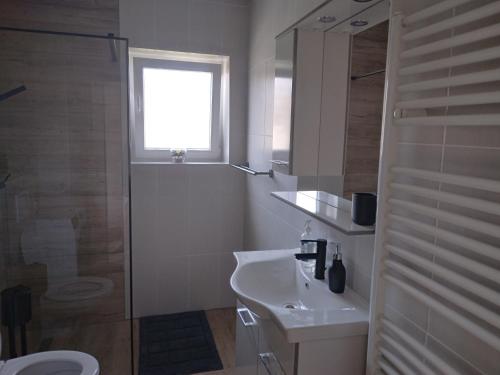 uma casa de banho com um lavatório, um WC e uma janela. em Apartment Gabi em Smoljanac
