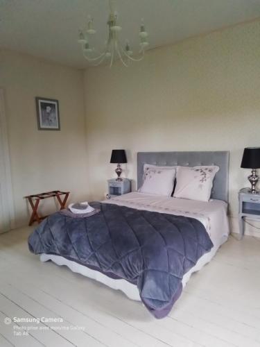 a bedroom with a large bed with a blue blanket at La Maison Du Canal in Houdelaincourt