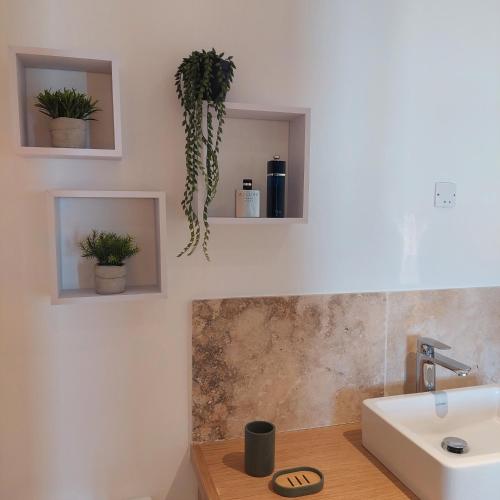 La salle de bains est pourvue d'un lavabo et de plantes murales. dans l'établissement Les Maisons de Gaugin Studio Le Lézard aan de voet van de Mont Ventoux, à Malaucène