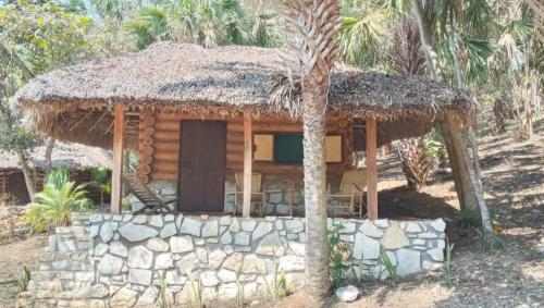 a small hut with a palm tree in front of it at Room in Cabin - Cabins Sierraverde Huasteca Potosina sierra cabin in Damían Carmona
