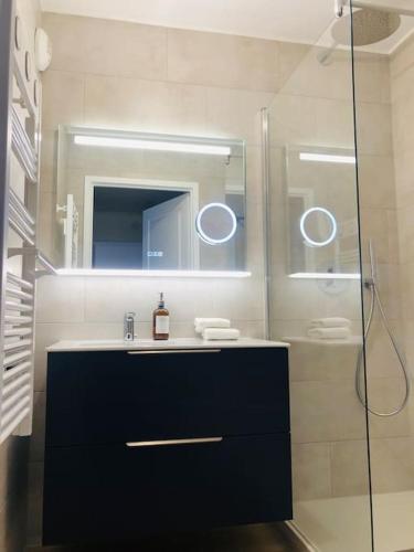 une salle de bain avec un lavabo et une douche avec un miroir dans l'établissement Cosy Apartement near Geneva, à Saint-Julien-en-Genevois