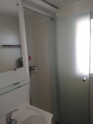 a bathroom with a sink and a mirror at MHVACANCES LOUENT PLUSIEURS MOBILHOMES DANS CAMPING 4 ETOILES PROCHE CHATEAUX et ZOO BEAUVAL in Onzain