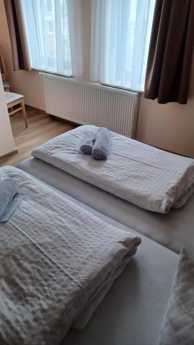 two twin beds in a room with windows at Pension am Stern in Leipzig