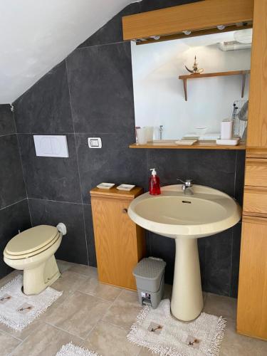 ein Bad mit einem Waschbecken und einem WC in der Unterkunft Gere house in Lezzeno