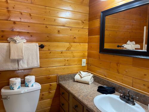 uma casa de banho com um WC, um lavatório e um espelho. em Mountain Memories With High Speed Wifi em Red River