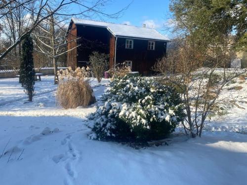 un patio cubierto de nieve con una casa en el fondo en Ferienwohnung in historischer Villa!, en Furth im Wald