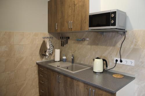 eine Küche mit einer Spüle und einer Mikrowelle in der Unterkunft Alma B&B in Kalvarija