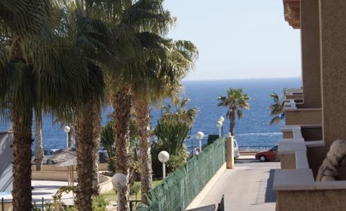 een uitzicht op de oceaan vanuit een gebouw met palmbomen bij Marina Sol in Cabo Roig