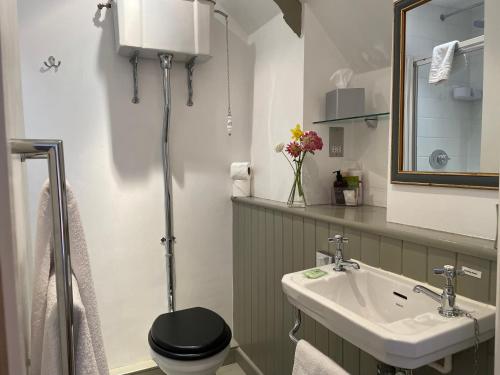 a bathroom with a black toilet and a sink at Spring Cottage B&B in Probus