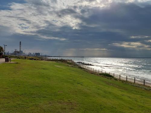 a grassy field next to a body of water at Armon Hayarkon Hotel in Tel Aviv