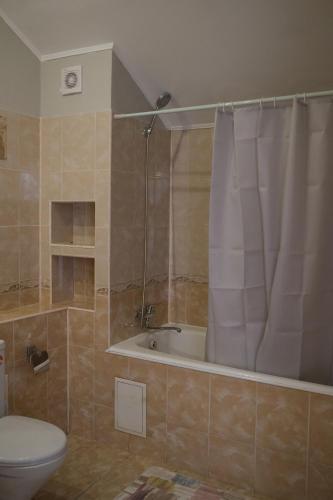 uma casa de banho com um chuveiro, um WC e uma banheira em Wanderlust hostel Riverside em Almaty