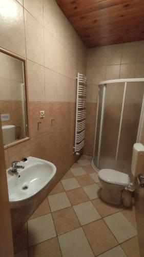 a bathroom with a shower and a sink and a toilet at Biernat s.j. 