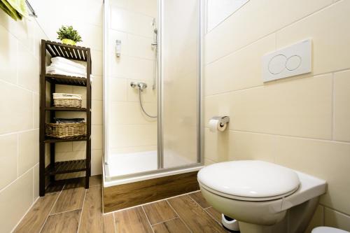 ein Bad mit einem WC und einer Dusche in der Unterkunft Breisach City-Appartements in Breisach am Rhein