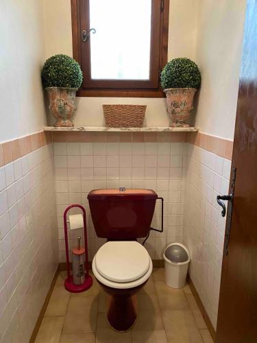 a bathroom with a toilet and a window and plants at Maison 6 personnes avec piscine terrain arboré clôturé in Vallabrix