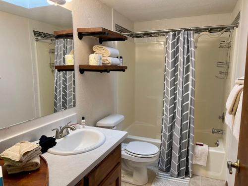 a bathroom with a sink and a toilet and a shower at Mountain Beauty With High Speed Wifi in Red River