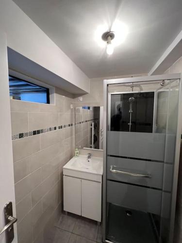 une salle de bain avec un lavabo, un miroir et une douche dans l'établissement Appartement Vue Cathédrale- Centre ville Meaux-Gare-Disney, à Meaux