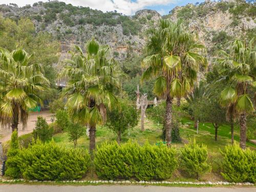 a park with palm trees and bushes in front of a mountain at Keyif Pension & Aparts in Cıralı
