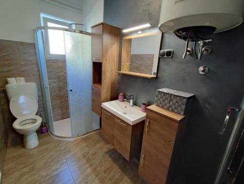 y baño con aseo, lavabo y ducha. en Apartment Ari, en Rovinj
