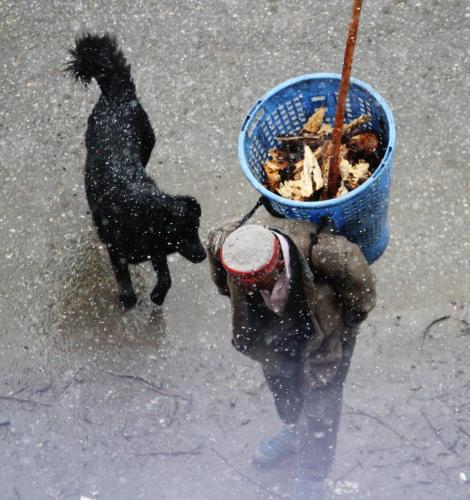 a person playing with a dog in the snow at Ikigai Manali in Nagar