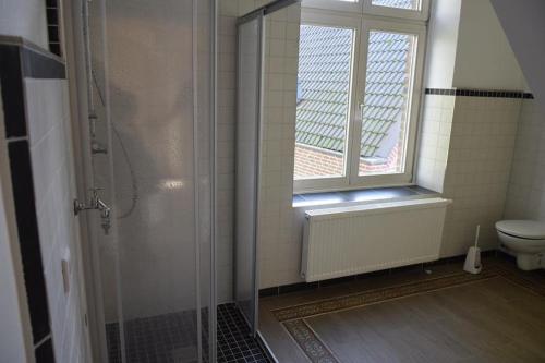 a bathroom with a shower and a toilet and a window at Altes Pastorat in Kevelaer