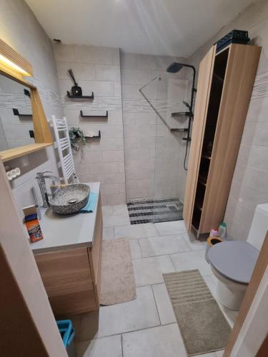ein Bad mit einer Dusche, einem Waschbecken und einem WC in der Unterkunft L'Antre du Dragon in Marseille