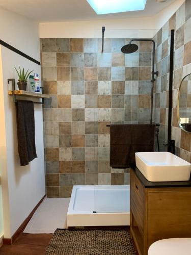 La salle de bains est pourvue d'un lavabo et d'une douche. dans l'établissement Charming typical stone house with modern amenities, à Chauzon