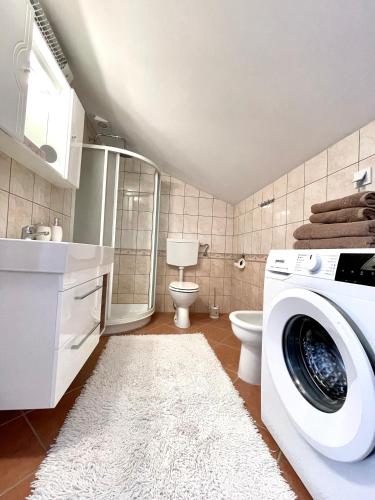 a bathroom with a washing machine and a toilet at Apartment Lady Daniela mit Meerblick in Lovran in Lovran
