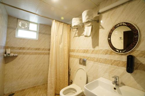 a bathroom with a toilet and a sink and a mirror at Hotel President in Jalandhar