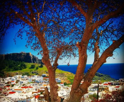 a tree with a view of a town and the ocean at Little Lindos Sea View Studios in Líndos