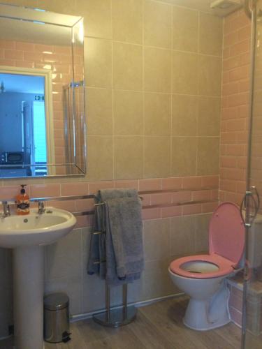 a bathroom with a pink toilet and a sink at The Old School House in Durham
