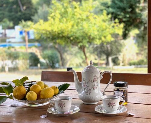 uma mesa com uma chaleira e uma tigela de limões em Sani Garden House em Sani Beach