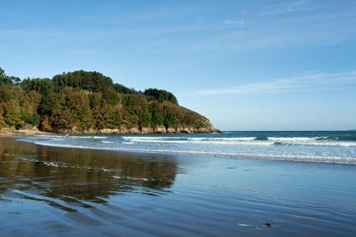 a beach with trees and the ocean and waves at Hotel A Miranda in Feás