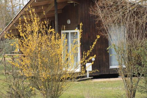 CAMPING DE LA CHALARONNE – Photos 3