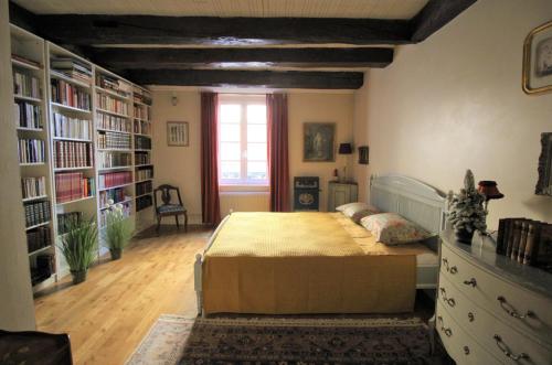 een slaapkamer met een bed in een kamer met boekenplanken bij COSY POTET in Dijon