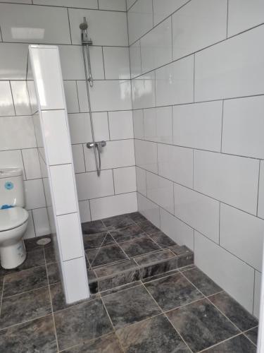 a bathroom with a shower and a toilet at Villa Feliza in Güime