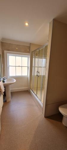 a bathroom with a shower and a toilet and a sink at The Trewythen in Llanidloes