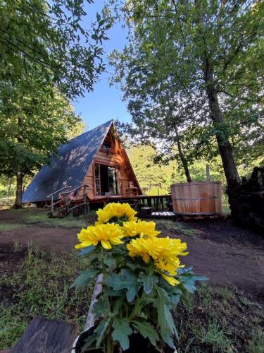 a bunch of yellow flowers in front of a cabin at Alpinas de Sollipulli refugio llaima in Melipeuco