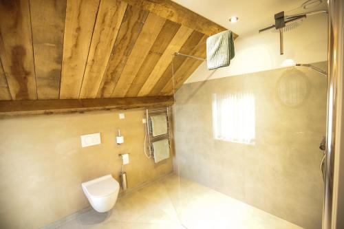 a bathroom with a toilet and a wooden ceiling at Hof van Kleeberg in Mechelen