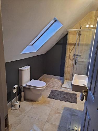 a bathroom with a toilet and a shower and a skylight at Stunning 2-Bed Apartment in Kildare