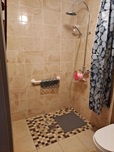 a bathroom with a shower with a toilet and a shower curtain at Stunning 2-Bed Apartment in Kildare