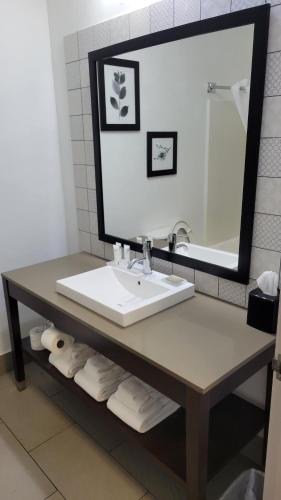 a bathroom with a sink and a mirror at Country Inn & Suites by Radisson, McDonough, GA in McDonough